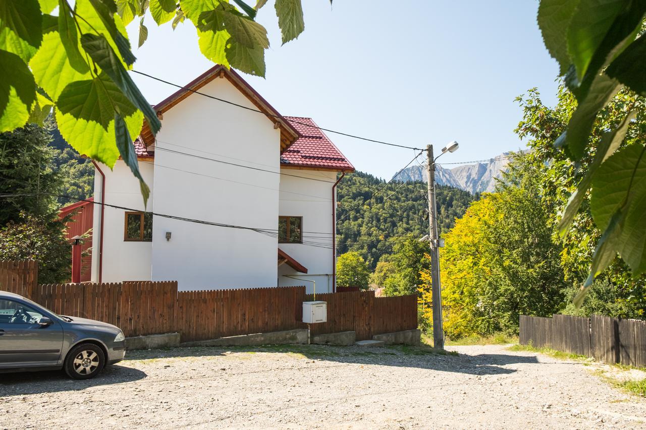 Vila Alma Азуга Екстер'єр фото
