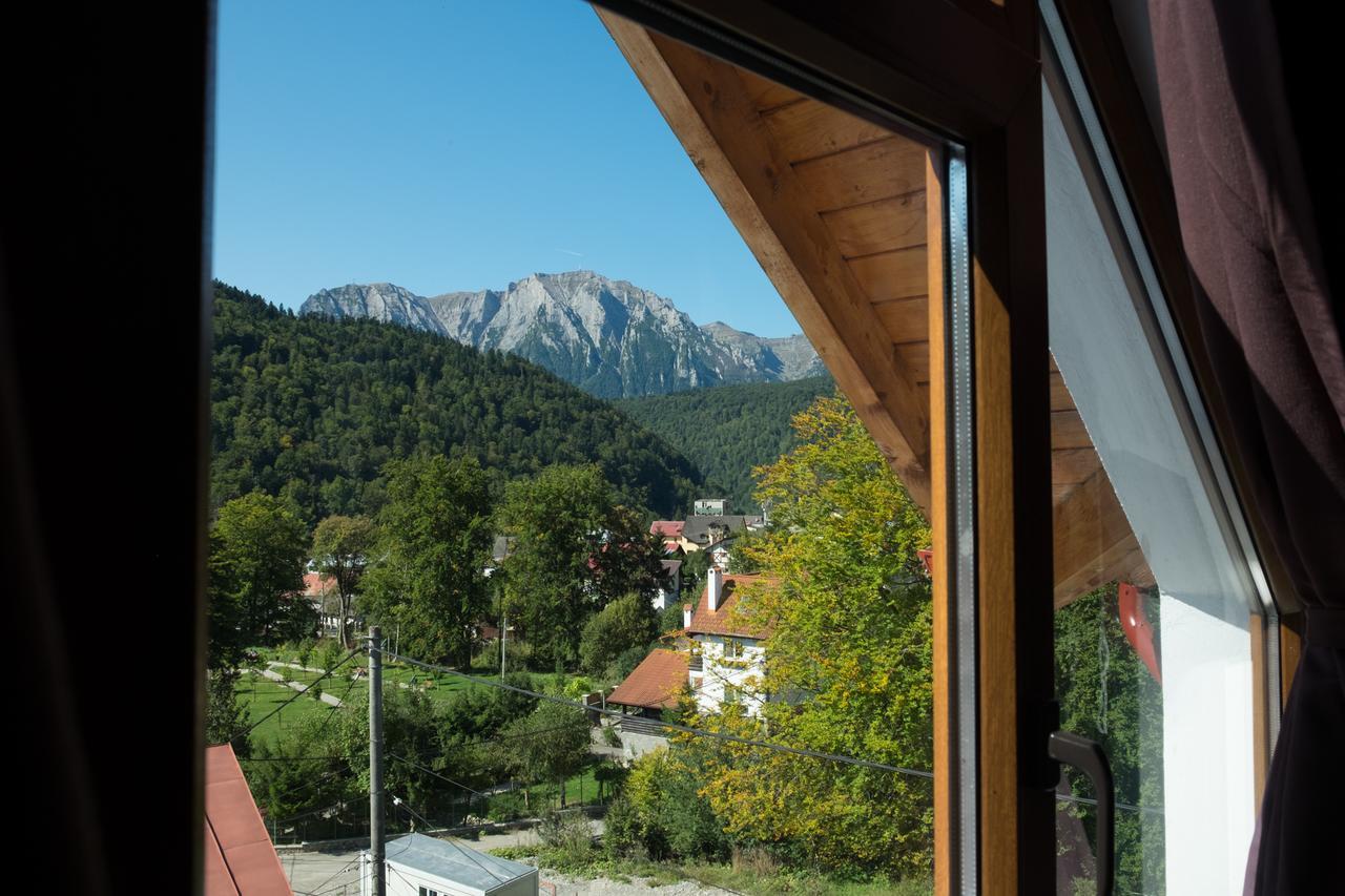 Vila Alma Азуга Екстер'єр фото